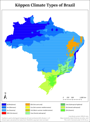 Big wet brazilian asses