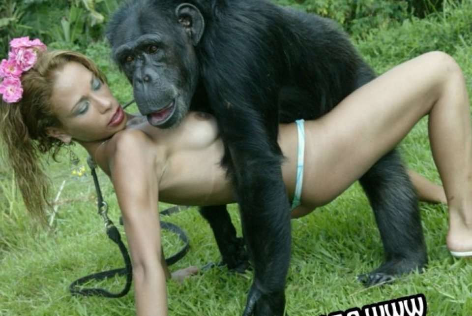 Monkey sex with girl