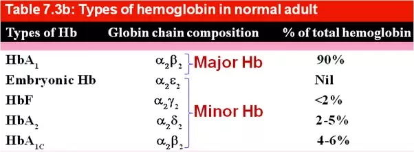 Increased hemoglobin f in adults