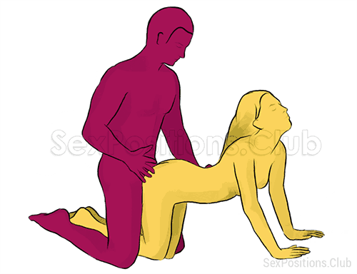 Bassethound sex position video