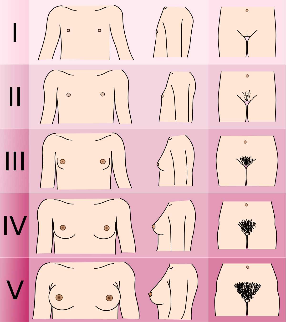 Maturing breasts normal or not