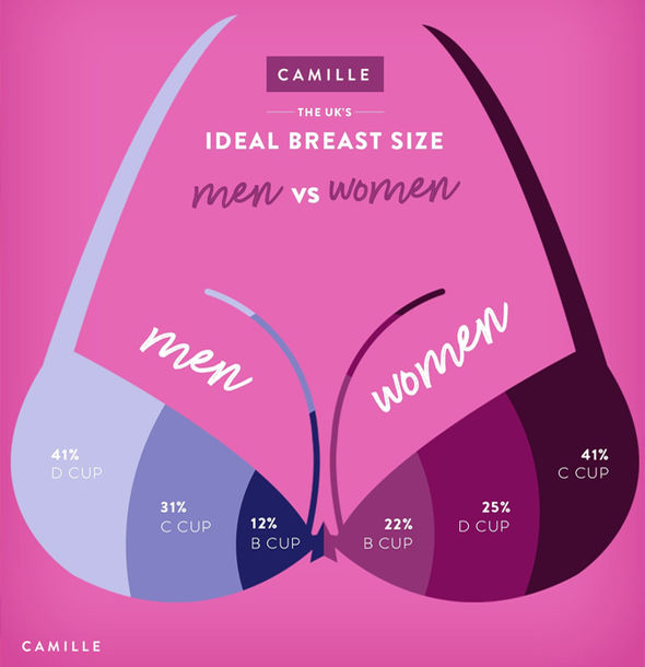What size breasts do men like