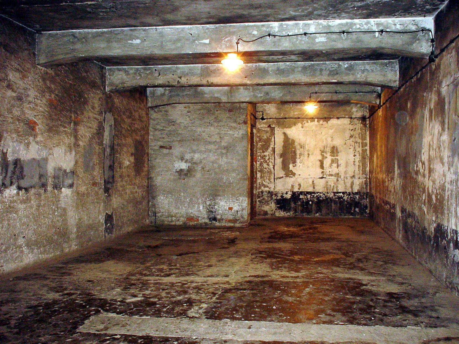 Concentration camps gas chambers