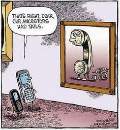 Adult cell joke phone