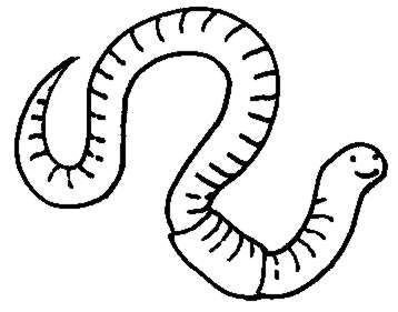 Worm clip art black and white
