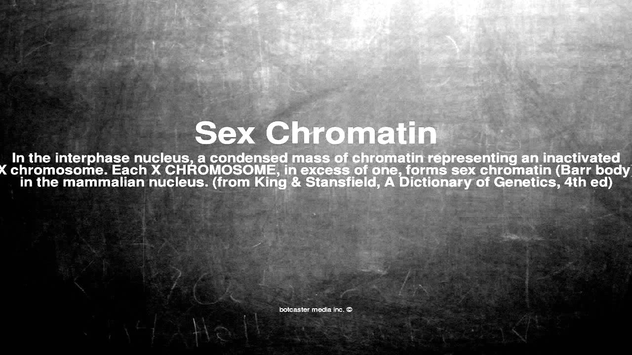 What is sex chromatin