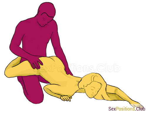 Bassethound sex position video